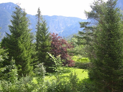 View East